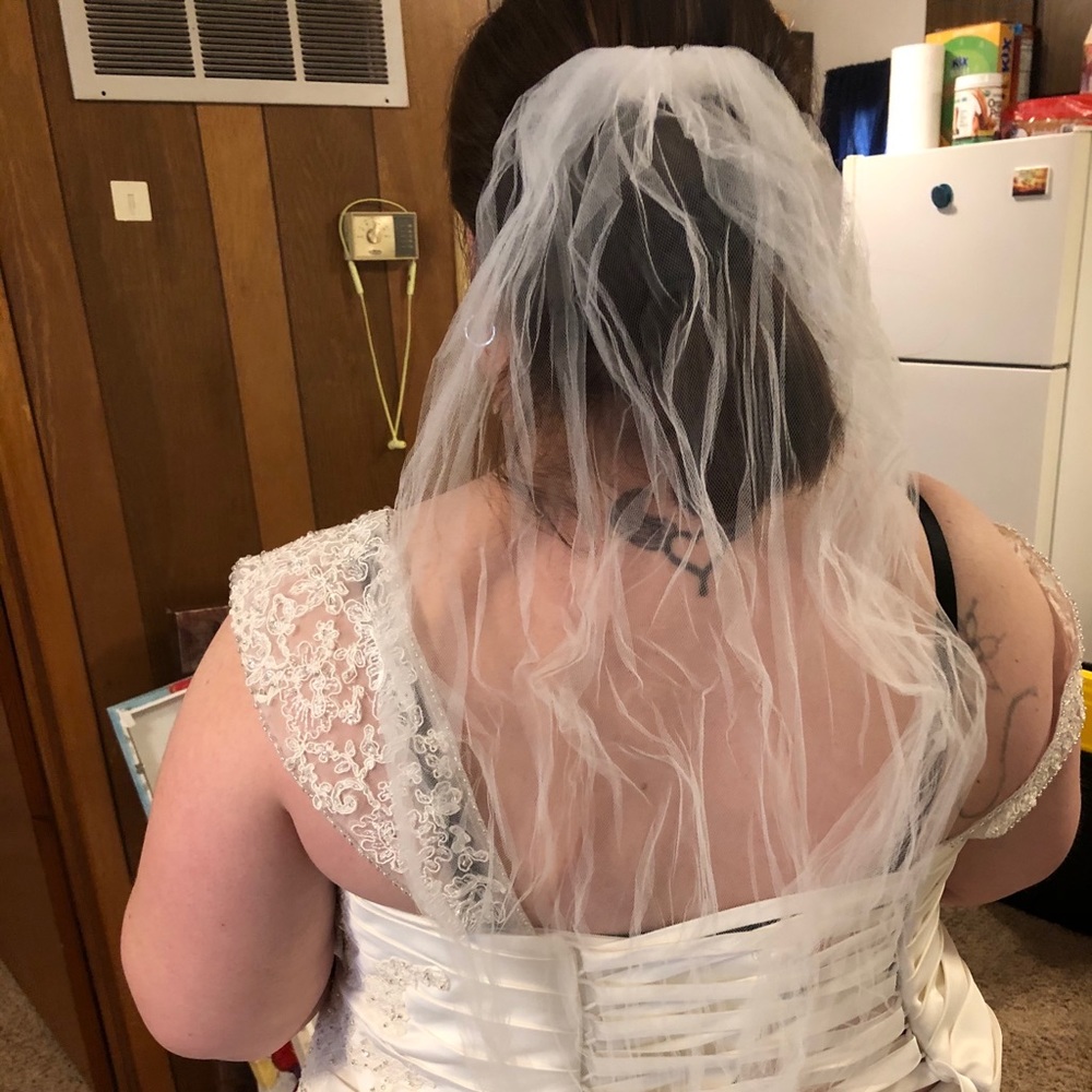 Wedding dress & vail